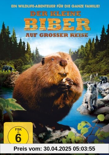 Der kleine Biber auf großer Reise von Philippe Calderon
