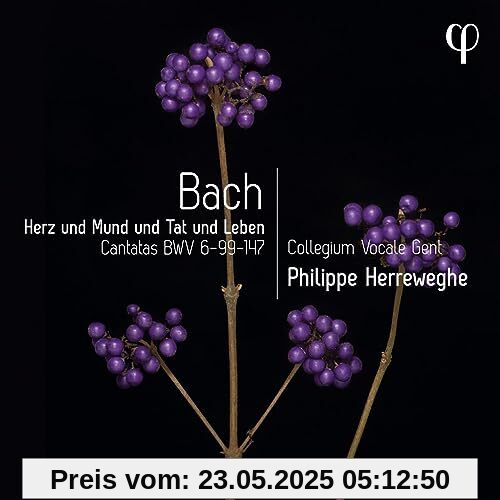Johann Sebastian Bach: Herz und Mund und Tat und Leben - Kantaten BWV 6, 99 & 147 von Philippe Herreweghe