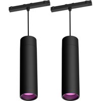 Philips Hue Perifo Pendel Erweiterung 2er-Set Philips Hue Perifo Pendel Erweiterung 2er-Set von Philips Hue