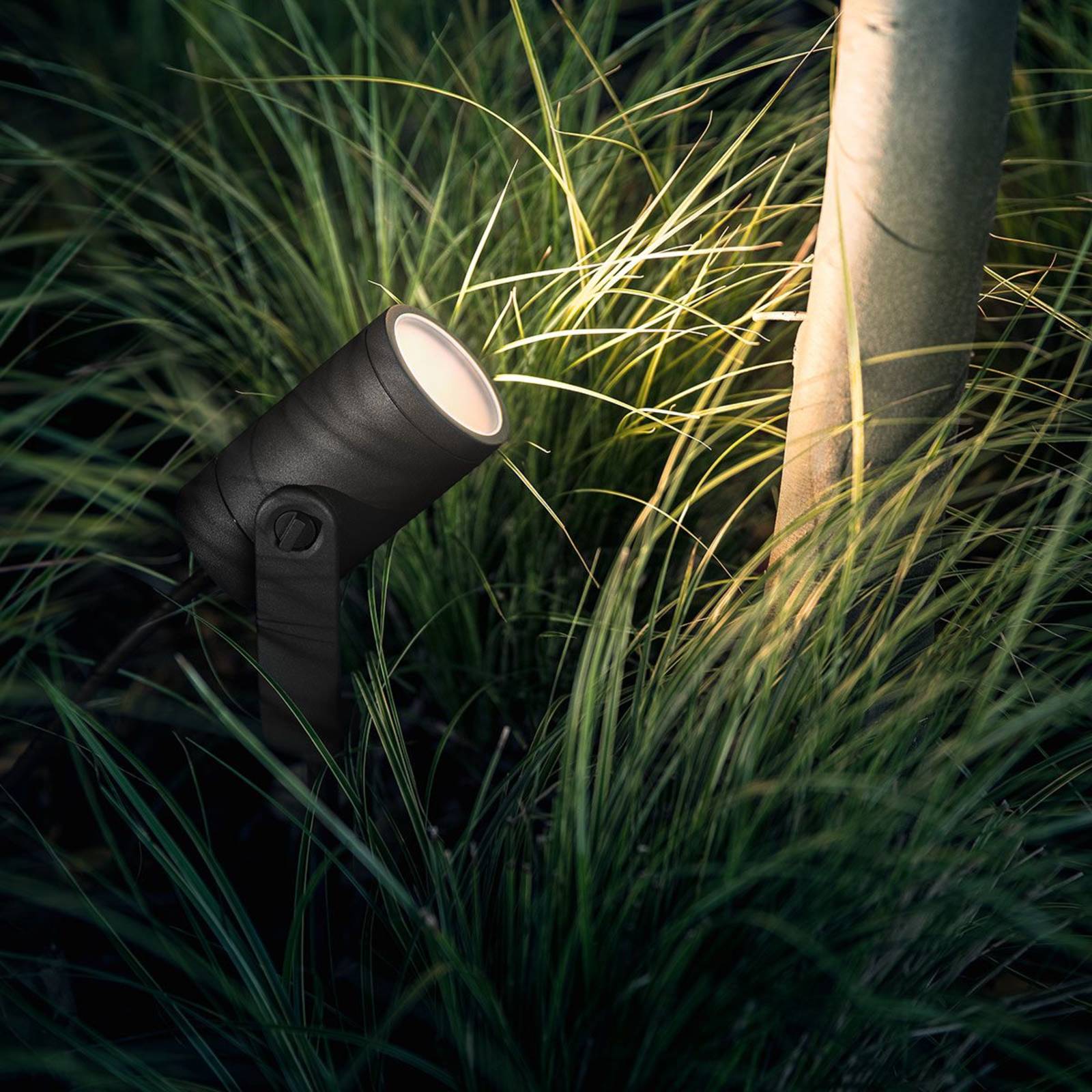 Philips Hue White+Color Ambiance Lily, Erweiterung Philips Hue White+Color Ambiance Lily, Erweiterung von Philips Hue