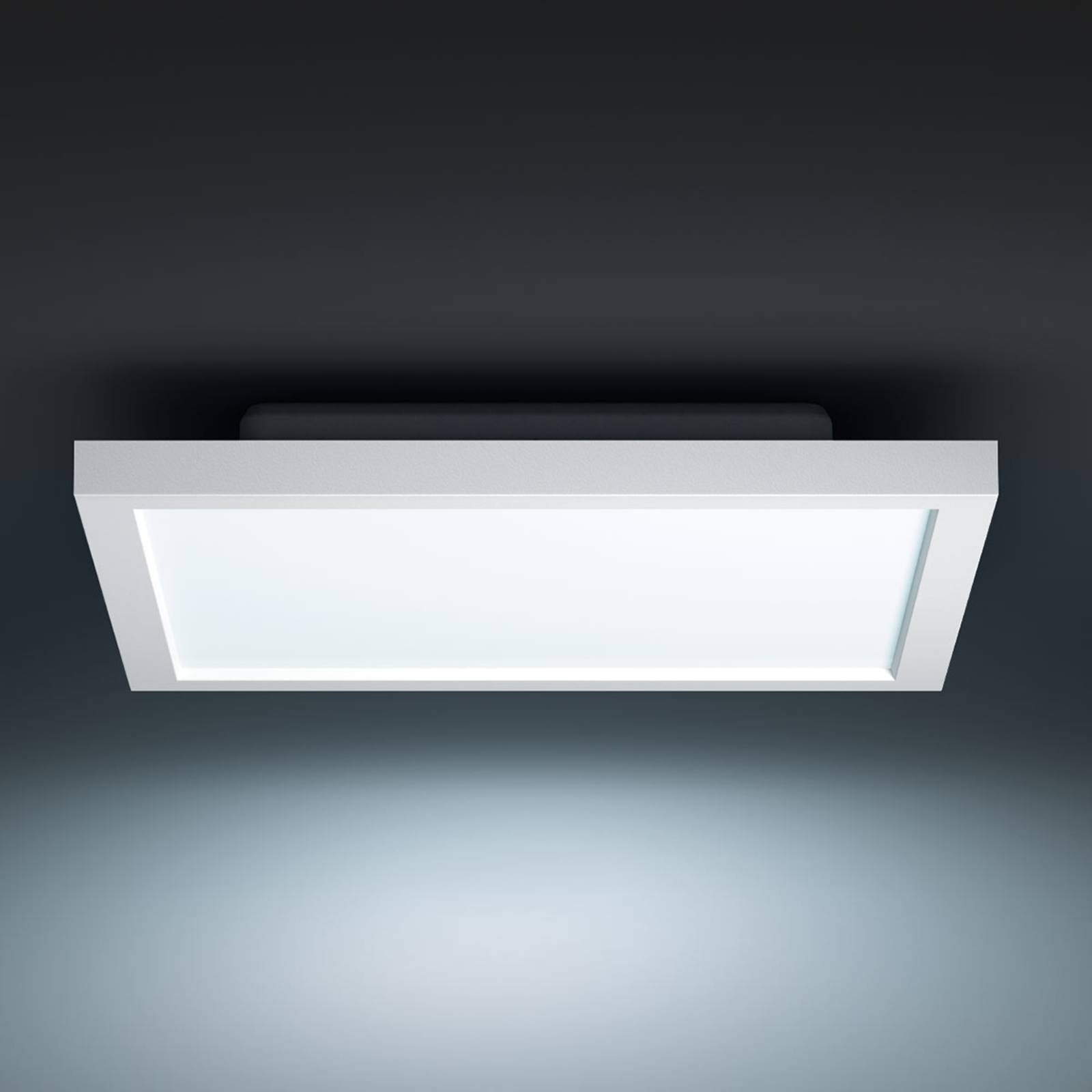 Philips Hue White Ambiance Aurelle 30x30cm weiß Philips Hue White Ambiance Aurelle 30x30cm weiß von Philips Hue