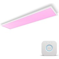 Philips Hue White & Col. Amb. Surimu Panel 120x30cm + Bridge von Philips Hue