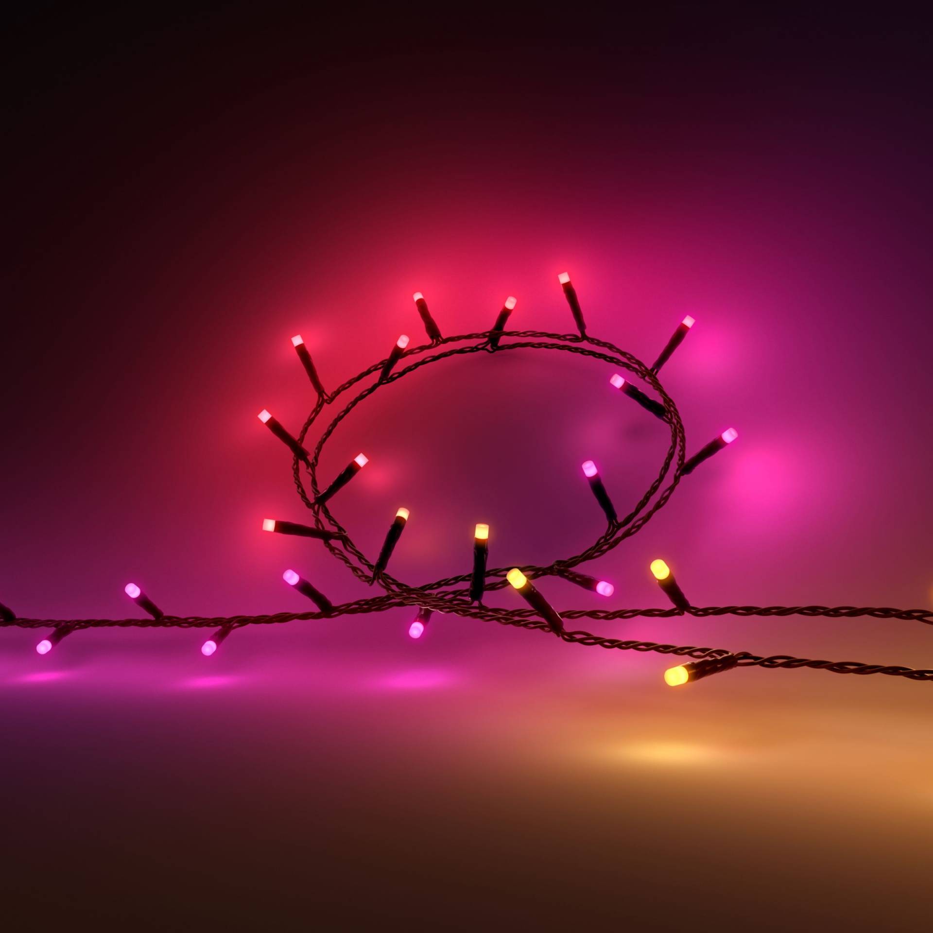 Philips Hue White & Color Ambiance Festavia Lichterkette 8m Philips Hue White & Color Ambiance Festavia Lichterkette 8m von Philips Hue