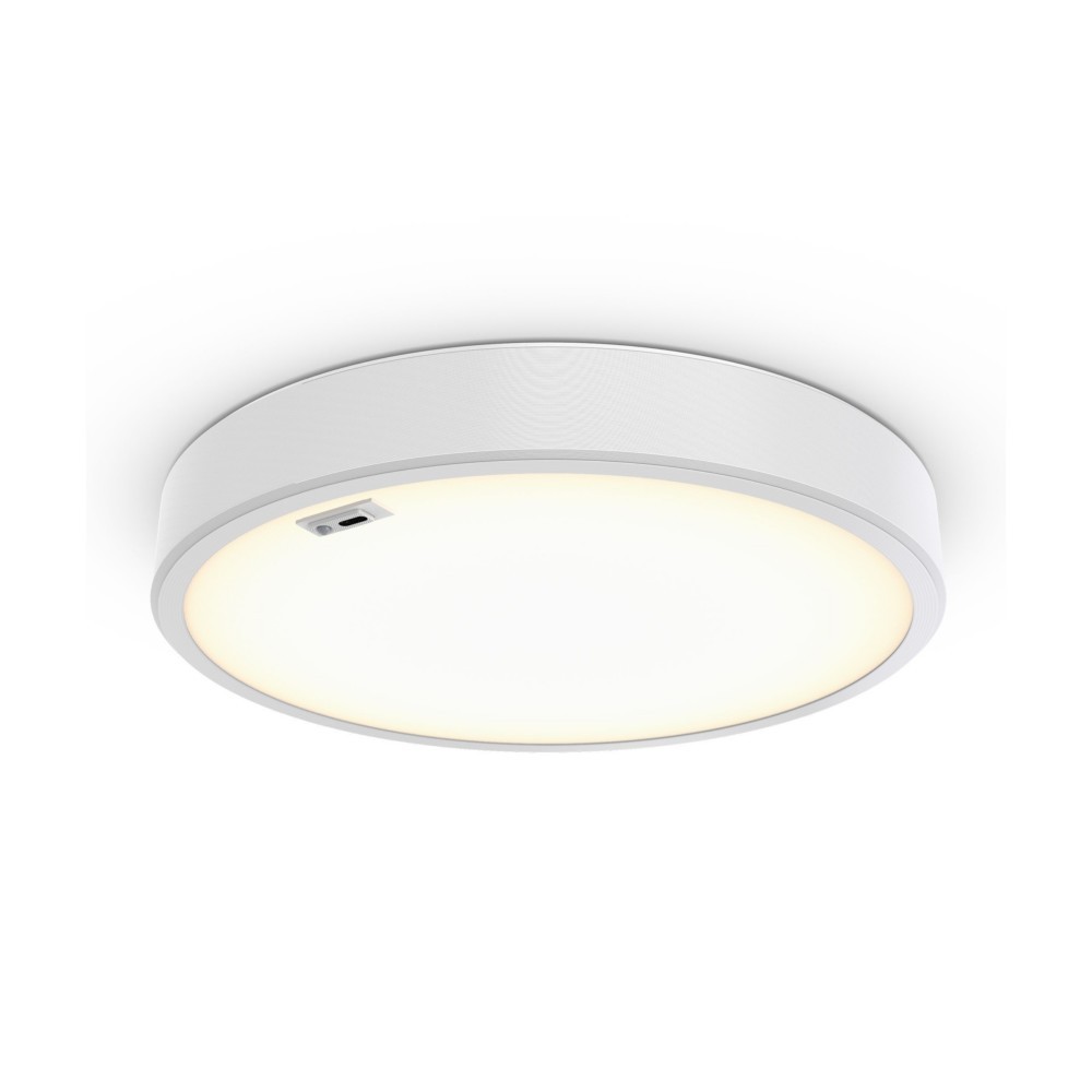 Philips Lighting 3D-LED-Leuchte TCBRMS 19S #86430600 von Philips Lighting