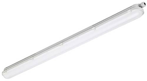 Philips Lighting CoreLine WT120C LED-Feuchtraumleuchte LED LED fest eingebaut 20.5W Neutralweiß Grau Philips Lighting CoreLine WT120C LED-Feuchtraumleuchte LED LED fest eingebaut 20.5W Neutralweiß Grau von Philips Lighting