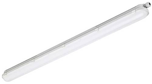 Philips Lighting CoreLine WT120C LED-Feuchtraumleuchte LED LED fest eingebaut 20.5W Neutralweiß Grau von Philips Lighting