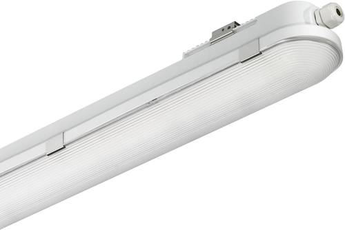 Philips Lighting CoreLine WT120C LED-Feuchtraumleuchte LED LED fest eingebaut 41W Neutralweiß Grau von Philips Lighting