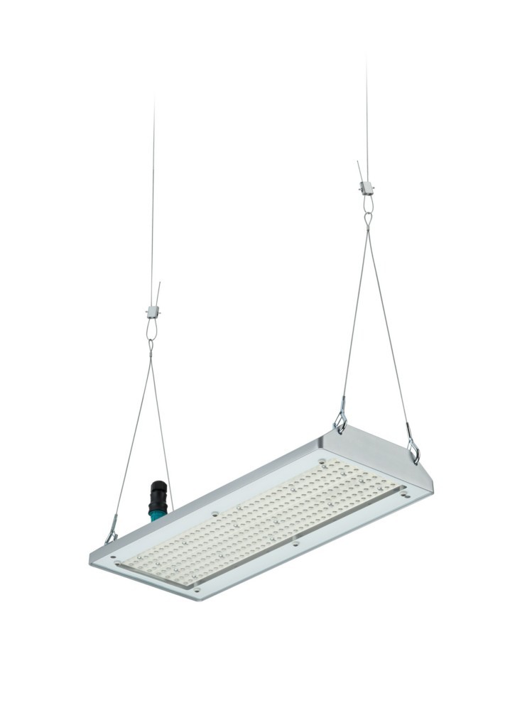 Philips Lighting LED-Hallenleuchte BY580P 170 #59410400 Philips Lighting LED-Hallenleuchte BY580P 170 #59410400 von Philips Lighting