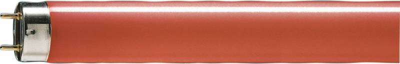 Philips Lighting Leuchtstofflampe TL-D Colore#95445940 von Philips Lighting