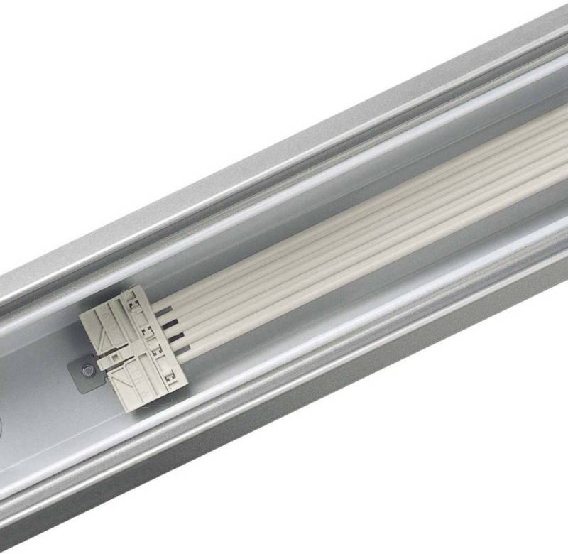 Philips Lighting Tragschiene mit DV 4MX656 491 5x2.5 WH 58352299 von Philips Lighting