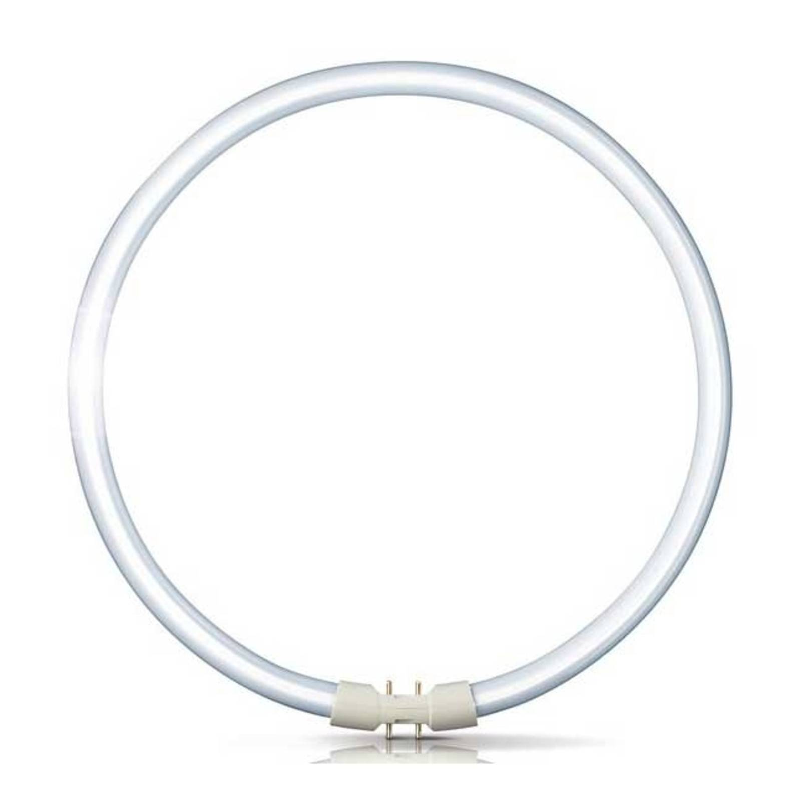 2GX13 60W 840 Ring-Leuchtstofflampe Master TL5 2GX13 60W 840 Ring-Leuchtstofflampe Master TL5 von Philips