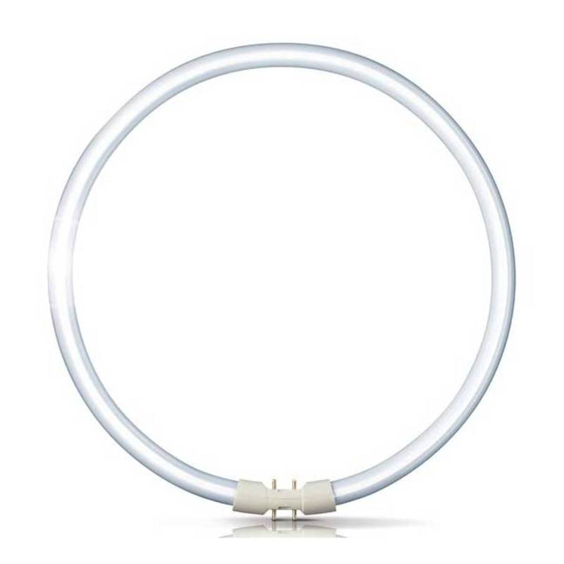 2GX13 60W 840 Ring-Leuchtstofflampe Master TL5 von Philips