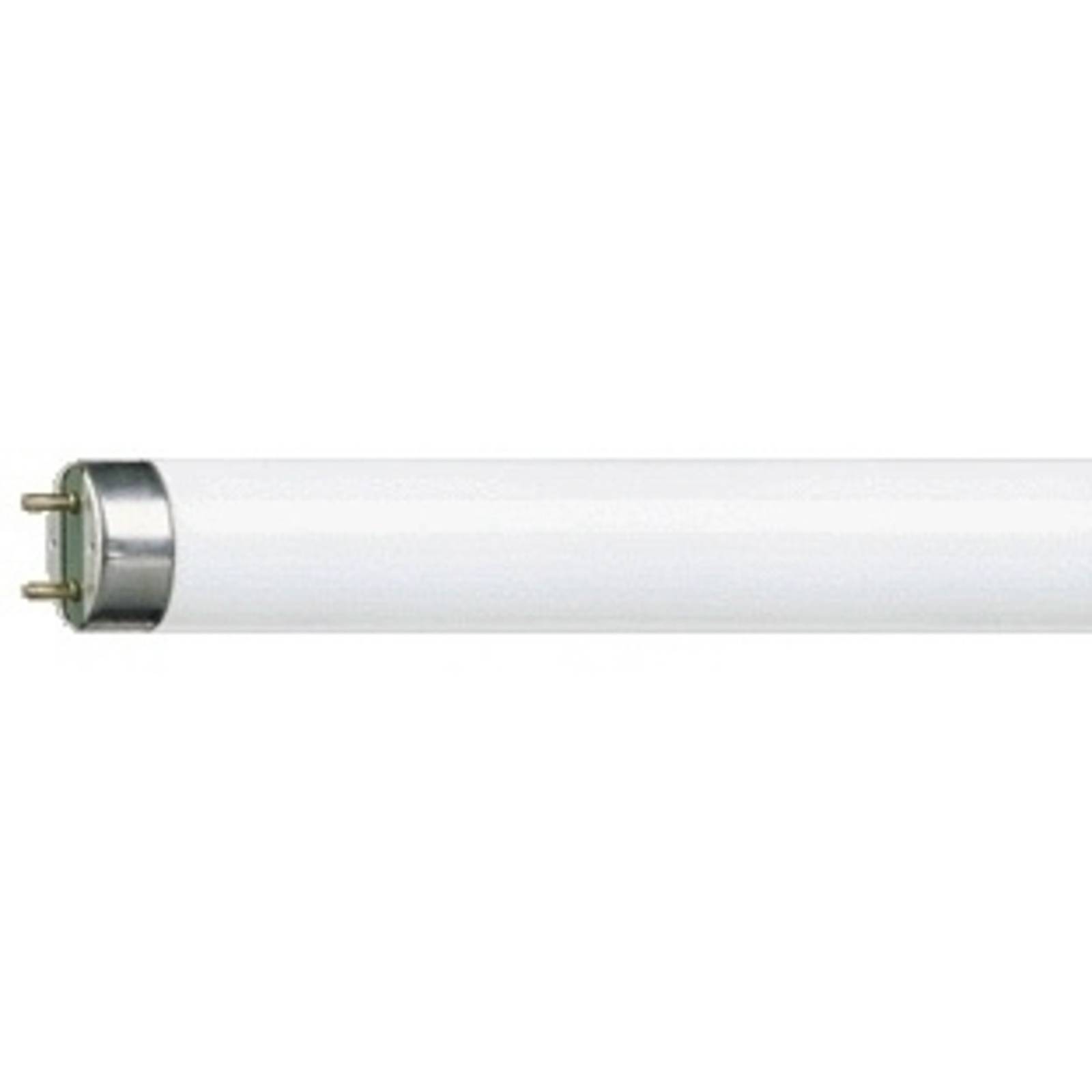 Leuchtstoffröhre G13 T8 18W MASTER TL-D Super 865 Leuchtstoffröhre G13 T8 18W MASTER TL-D Super 865 von Philips