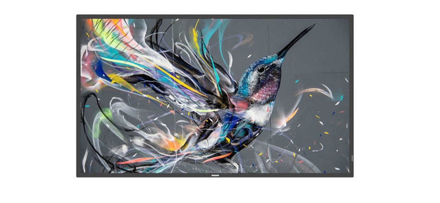 Philips 50BDL3511Q TFT-Monitor (3840 x 2160 px, 4K Ultra HD, 8 ms Reaktionszeit, VA, Lautsprecher) von Philips
