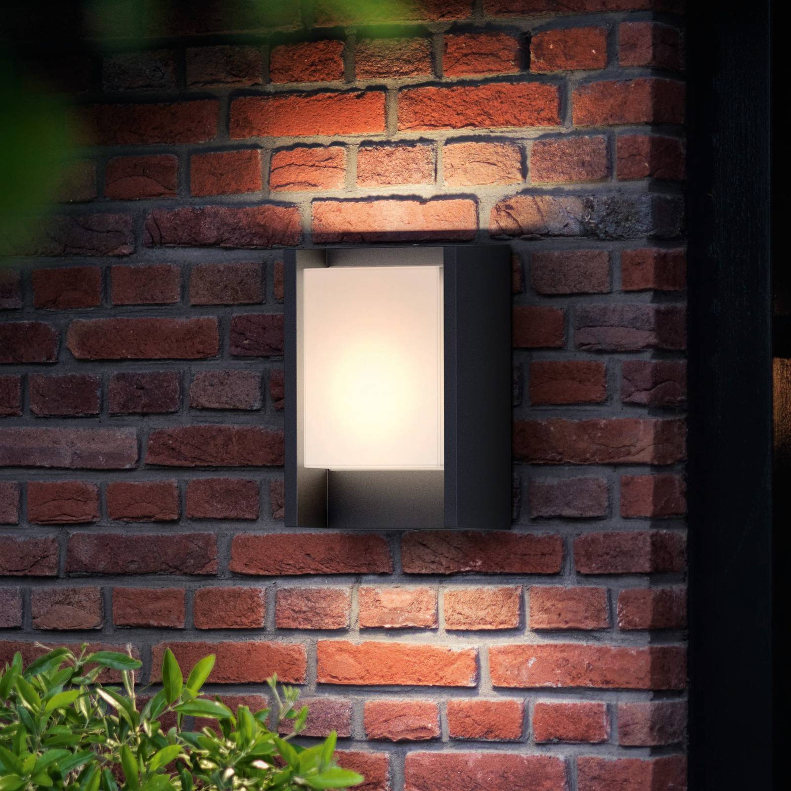 Philips Arbour LED-Außenwandlampe 3,8W 800lm 1-flg Philips Arbour LED-Außenwandlampe 3,8W 800lm 1-flg von Philips