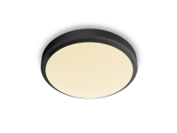 Philips Funktional Deckenleuchte, LED, 600 lm, IP44, Schwarz Philips Funktional Deckenleuchte, LED, 600 lm, IP44, Schwarz von Philips