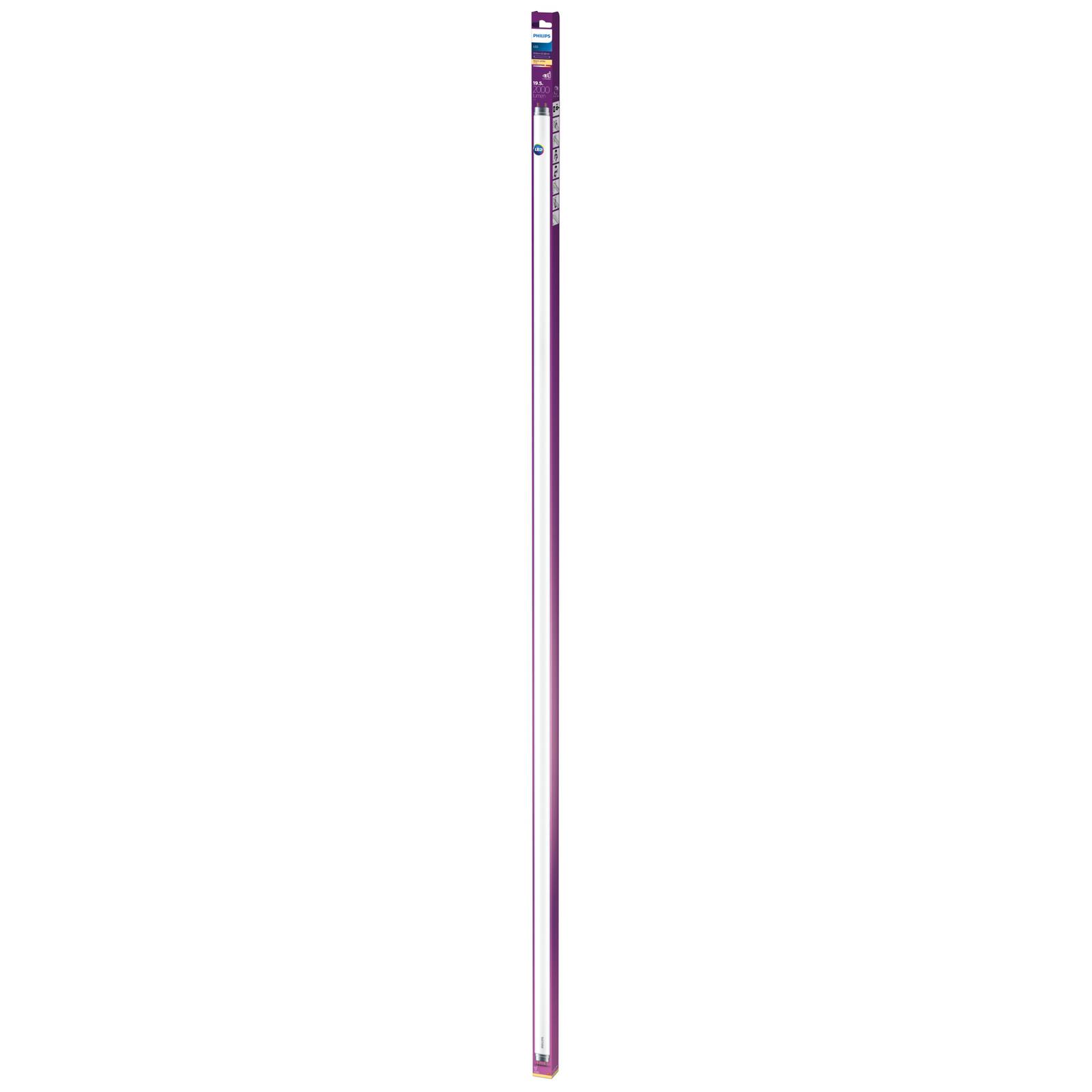 Philips G13 T8 LED-Röhrenlampe 19,5W 151,4cm 2700K Philips G13 T8 LED-Röhrenlampe 19,5W 151,4cm 2700K von Philips