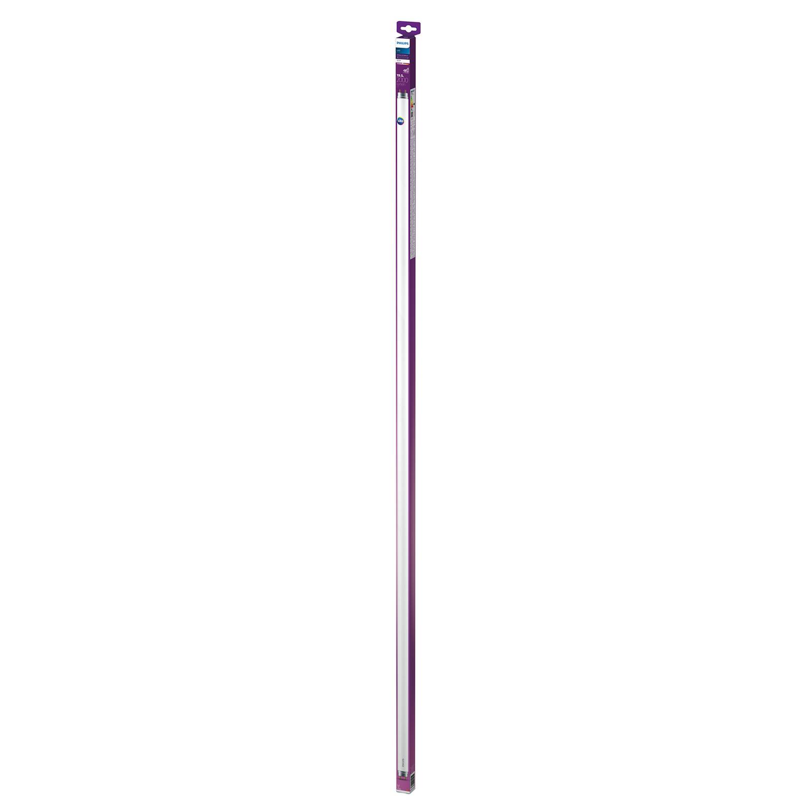 Philips LED-Tube T8 G13 150cm 19,5W 3.000K 2.000lm Philips LED-Tube T8 G13 150cm 19,5W 3.000K 2.000lm von Philips