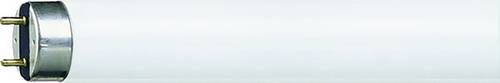 Philips Leuchtstoffröhre EEK: G (A - G) G13 18W Neutralweiß Röhrenform (Ø x L) 26mm x 600mm 10St. von Philips