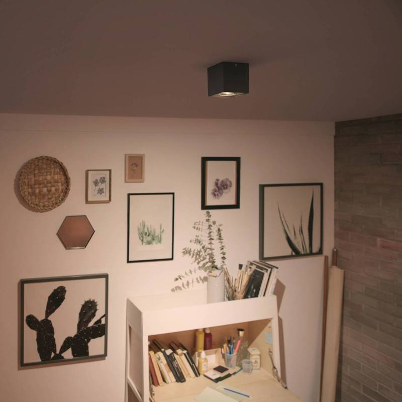 Philips myLiving Box LED-Spot einflammig schwarz von Philips
