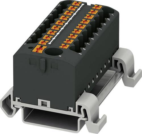 Phoenix Contact PTFIX 6/18X2,5-NS35A BK 3273256 Verteilerblock 0.14mm² 2.50mm² Schwarz 8St. von Phoenix Contact