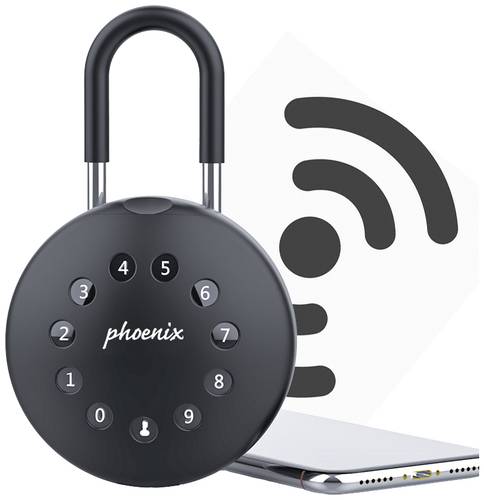 Phoenix Schlüsselsafe KEY STORE-THE PALM KS0213ES Anzahl Haken 1 Schwarz von Phoenix