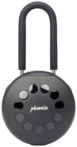 Phoenix Schlüsselsafe KEY STORE-THE PALM KS0213ES Anzahl Haken 1 Schwarz von Phoenix