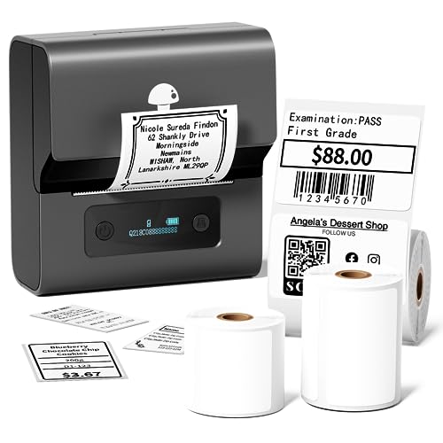 Phomemo M221 Etikettendrucker mit 3 Etikettenrollen - Thermo Bluetooth Etikettendrucker Beschriftungsgerät Labledrucker,für Barcode,Einzelhandel,Büro,kleine Unternehmen,für Android & iOS & PC- Grau von Phomemo