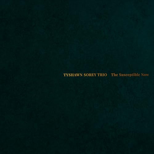 The Susceptible Now von Pi Recordings