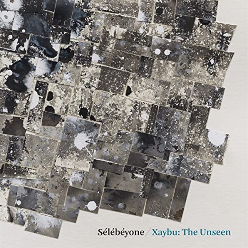 Xaybu: the Unseen [Vinyl LP] von Pi Recordings