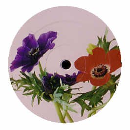 3 Weeks [Vinyl Maxi-Single] von Pias (Rough Trade)