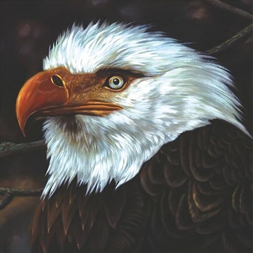 The Hawk Is Howling (Ltd. White Col. 2lp) [Vinyl LP] von PIAS