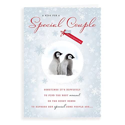 Piccadilly Greetings Group Ltd Avant Garde Studios H95033 Foto-Weihnachtskarte Special Couple, 25,4 x 17,8 cm von Piccadilly Greetings