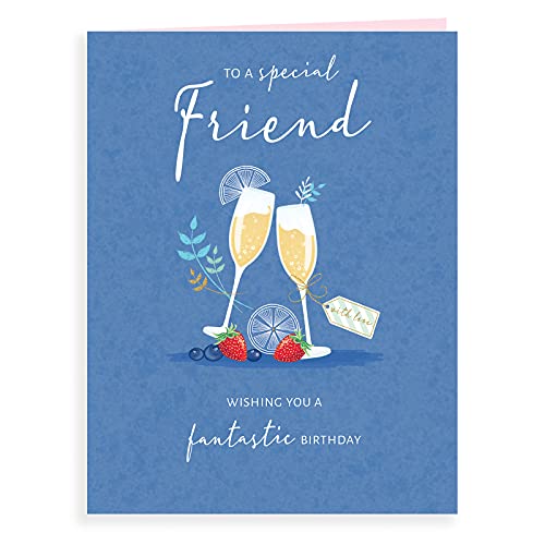 Piccadilly Greetings Group Ltd Koko Designs K70060 Geburtstagskarte mit Aufschrift Special Friend, 20,3 x 15,2 cm von Piccadilly Greetings