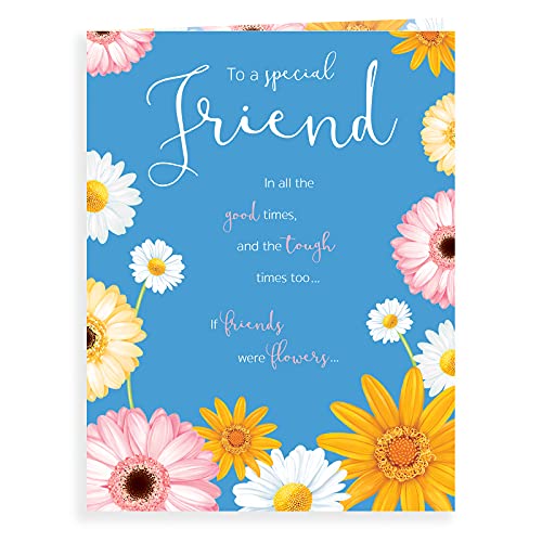 Piccadilly Greetings Koko Designs K70012 Geburtstagskarte mit Aufschrift "Special Friend", 20,3 x 15,2 cm von Piccadilly Greetings