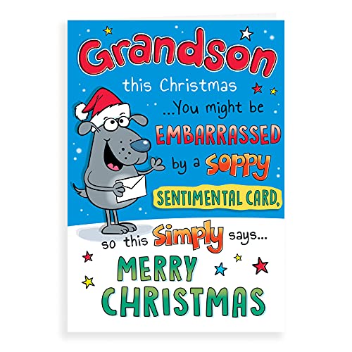 Piccadilly Greetings Regal Publishing Humor Weihnachtskarte für Enkelsohn – 22,9 x 15,2 cm C85414 von Piccadilly Greetings