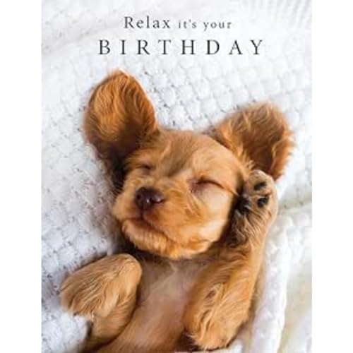 Piccadilly Greetings Relax It's Your Birthday Karte Sleepy Welpe – 20,3 x 15,2 cm von Piccadilly Greetings