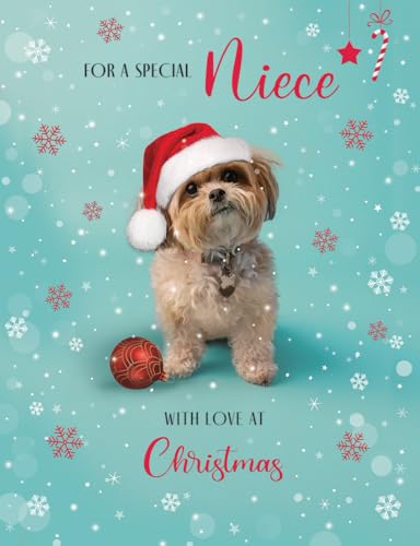 Piccadilly Greetings Weihnachtskarte, Nichte, Hund, 20,3 x 15,2 cm Piccadilly Greetings Weihnachtskarte, Nichte, Hund, 20,3 x 15,2 cm von Piccadilly Greetings