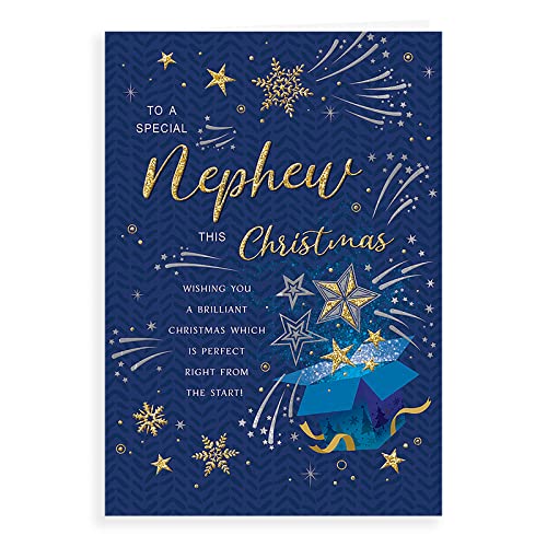 Regal Publishing C85563 Weihnachtskarte für Neffe, 22,9 x 15,2 cm von Piccadilly Greetings