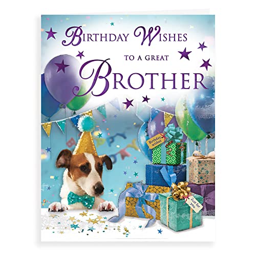 Regal Publishing Geburtstagskarte für Bruder, 20,3 x 15,2 cm von Piccadilly Greetings