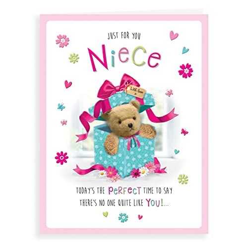 Süße Geburtstagskarte Nichte – 20,3 x 15,2 cm – Regal Publishing von Piccadilly Greetings