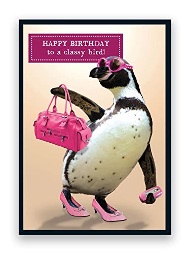 Pigment Animal Antics – Classy Bird – Geburtstagskarte für Freunde – Geburtstagskarten für Frauen – Geburtstagskarte Tochter – SC-zertifiziert – hergestellt in Großbritannien von Pigment