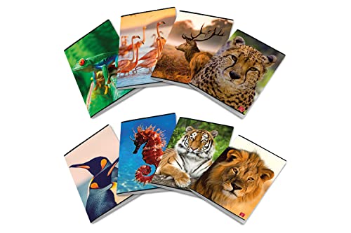 Pigna Animal Maxi Notizbücher A4 Lineatur 0B, Streifen der dritten Elementar, 10 Stück von Pigna