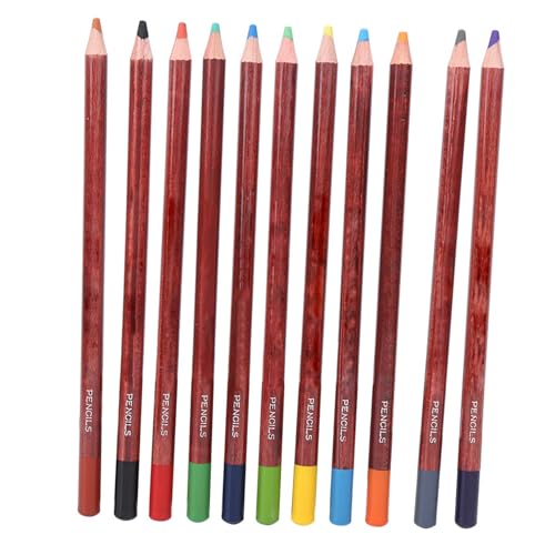 Pilipane 12pcs Pastellstifte Holzstangen Professionelle Skizzier -Malwerkzeugkunstzubehör (Landschaftsfarbe rosa Bleistift) von Pilipane
