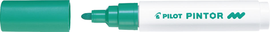 PILOT Pigmentmarker PINTOR, medium, grün von Pilot