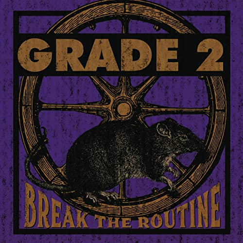 Break The Routine [Vinyl LP] von Pirate Press
