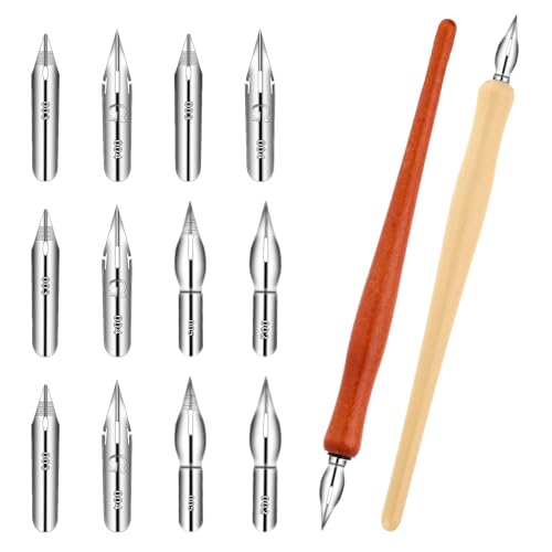 Piriuuo Kalligraphie Stift Set, Federhalter Holz Tusche Federhalter mit 2 Federhalter 12 Federn Comic Stiftspitzen Set Kalligraphie-Pen-Federn Kalligraphie Stift Set zum Schreiben, Malen von Piriuuo