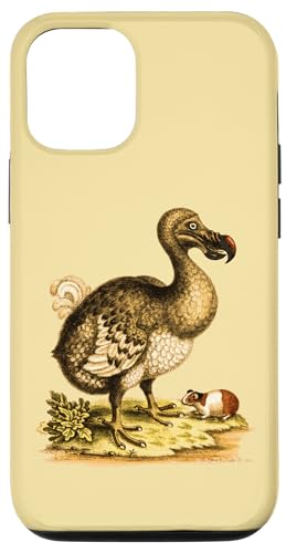 Hülle für iPhone 15 Antike Illustration Dodo Vogel und Meerschweinchen von Pixelchicken