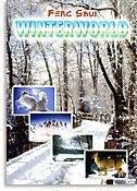 Winterworld [Vinyl LP] von Plan (Sound Design)