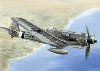 Focke-Wulf Fw 190 D-13/R11 von Planet Models